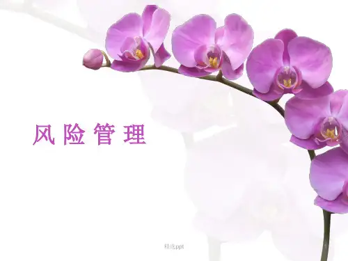 商业银行风险管理基础PPT课件