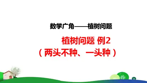 小学数学植树问题 例2 (两头不种、一头种)精品教学PPT课件