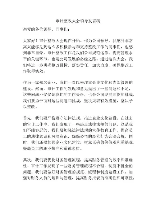 审计整改大会领导发言稿