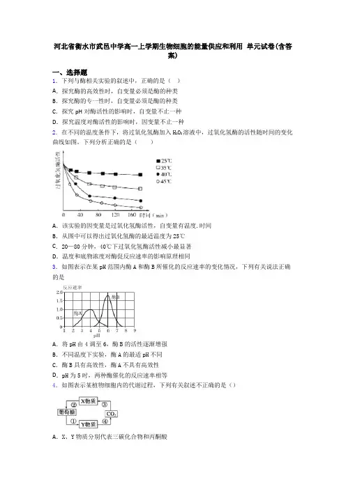 河北省衡水市武邑中学高一上学期生物细胞的能量供应和利用 单元试卷(含答案)