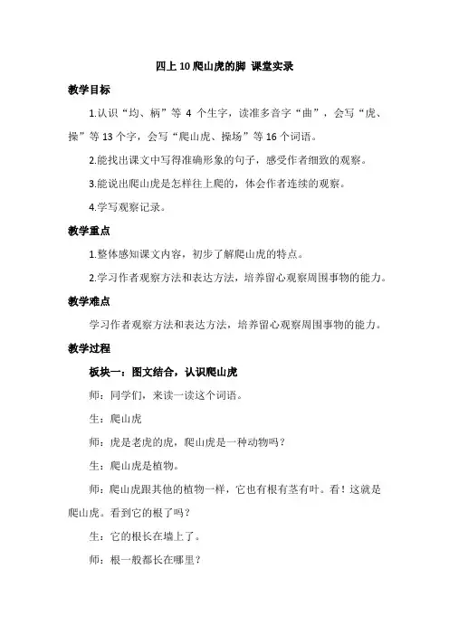 10爬山虎的脚   课堂实录(2024年)