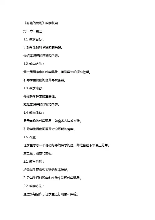 《有趣的发现》教学教案