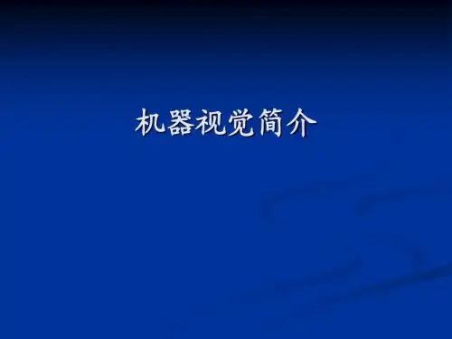 视觉检测