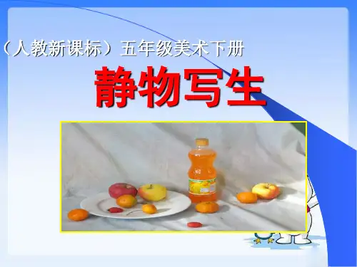 《静物写生》精品PPT课件 