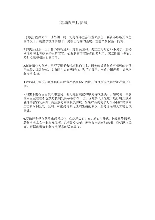 狗狗的产后护理