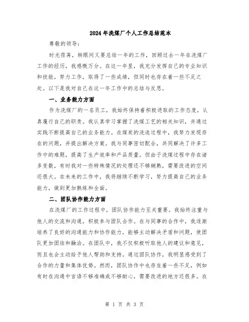 2024年洗煤厂个人工作总结范本