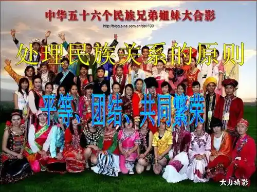 处理民族关系的原则