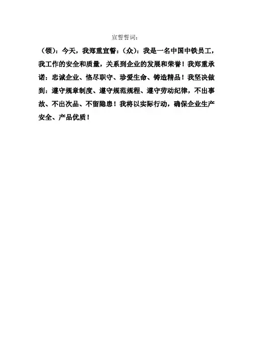 安全质量宣誓誓词