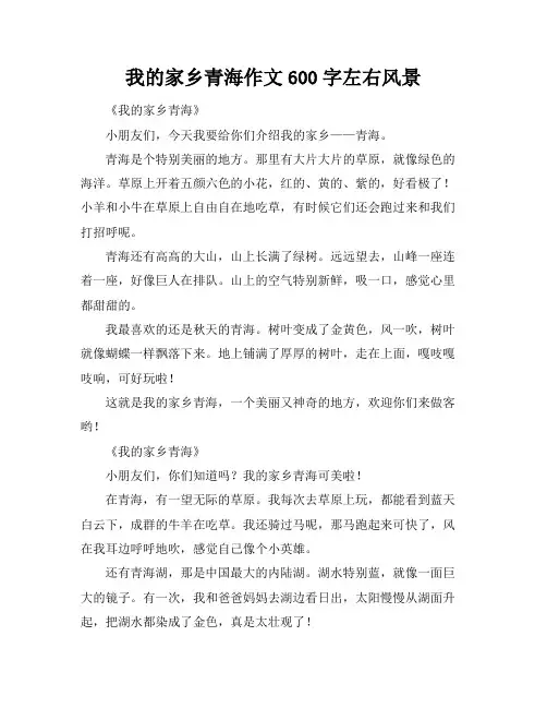 我的家乡青海作文600字左右风景