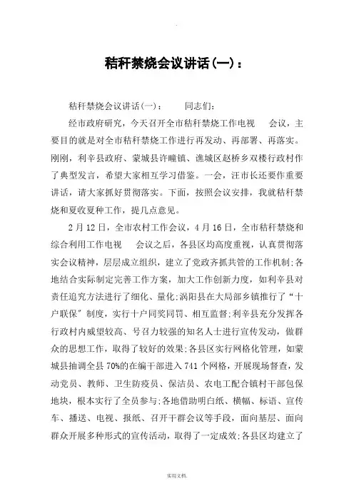 秸秆禁烧会议讲话(一)