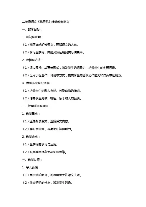 二年级语文《找骆驼》精选教案范文