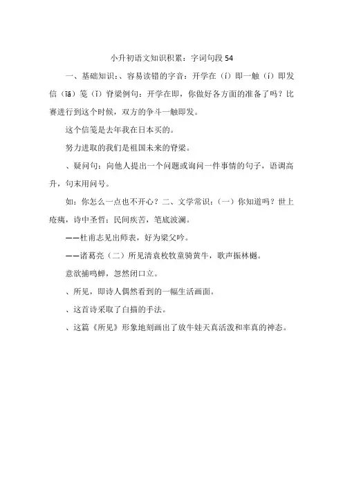 小升初语文知识积累：字词句段54-作文