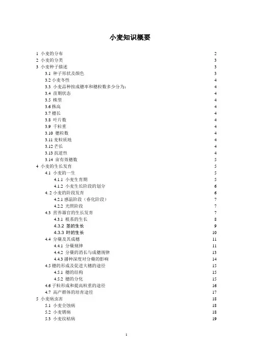 最全小麦基础知识总结