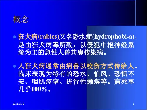 狂犬病知识讲座