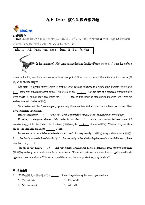 九上Unit4(核心知识点综合检测备战2024年中考英语一轮复习考点帮(仁爱版