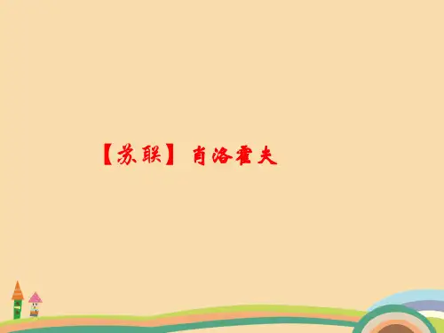 高一语文一个人的遭遇PPT教学课件
