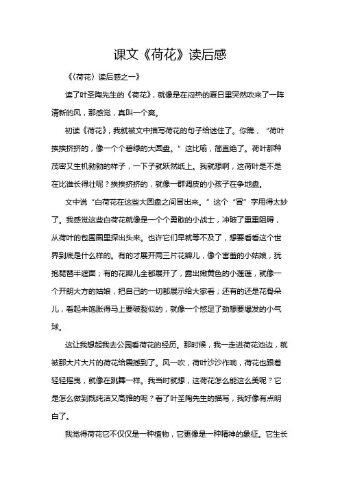 课文《荷花》读后感