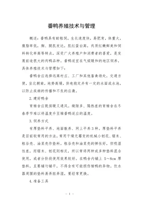 番鸭养殖技术与管理