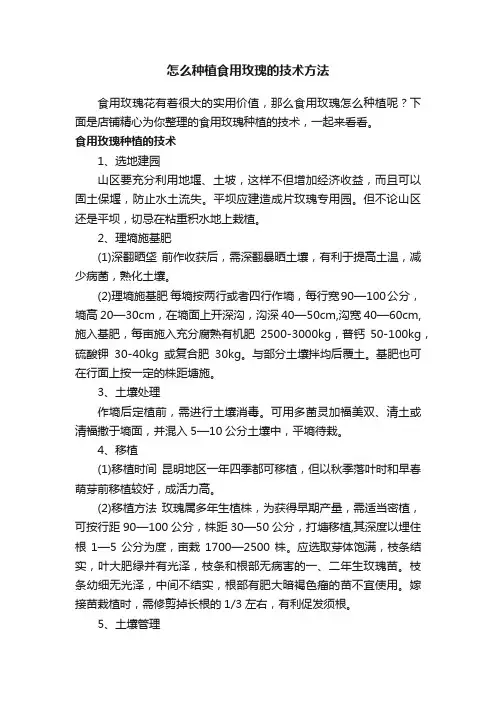 怎么种植食用玫瑰的技术方法
