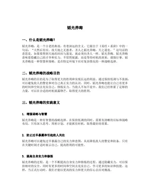 韬光养晦详细解释