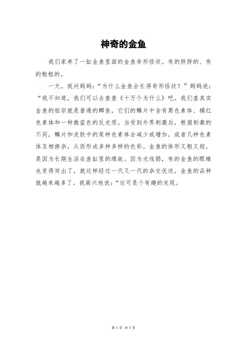 神奇的金鱼_三年级作文