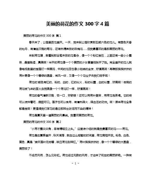美丽的荷花的作文300字4篇