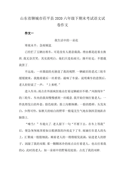 山东省聊城市茌平县2020六年级下期末考试语文试卷作文