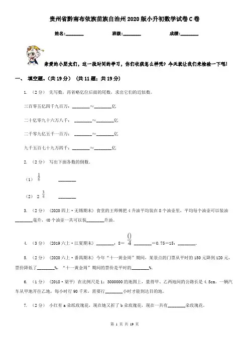 贵州省黔南布依族苗族自治州2020版小升初数学试卷C卷