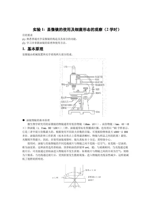 制药工程专业微生物实验讲义