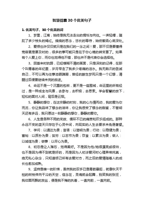 智慧锦囊30个优美句子