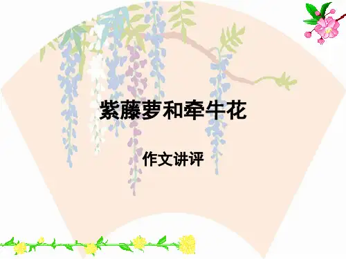 作文：牵牛花和紫藤萝 讲评
