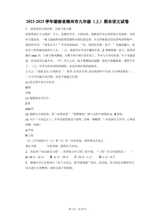 2022-2023学年湖南省郴州市九年级(上)期末语文试卷(含答案解析)