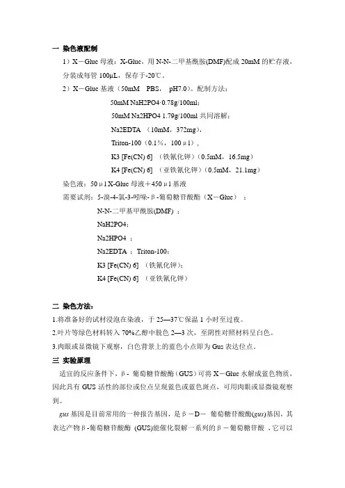 GUS染色液配制