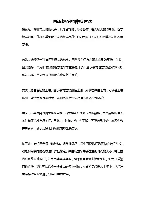 四季樱花的养植方法