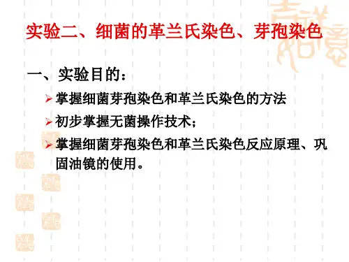 2.细菌的革兰染色法、芽孢染色法
