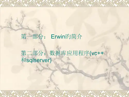 ERwin应用示例