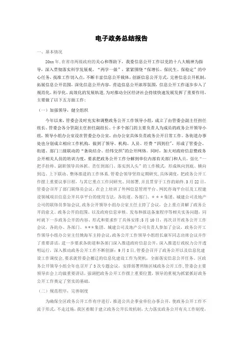 电子政务总结报告