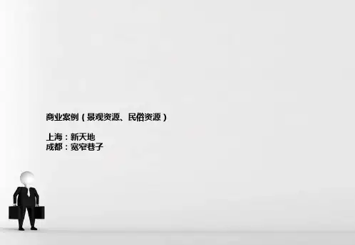 各种典型商业街经典案例