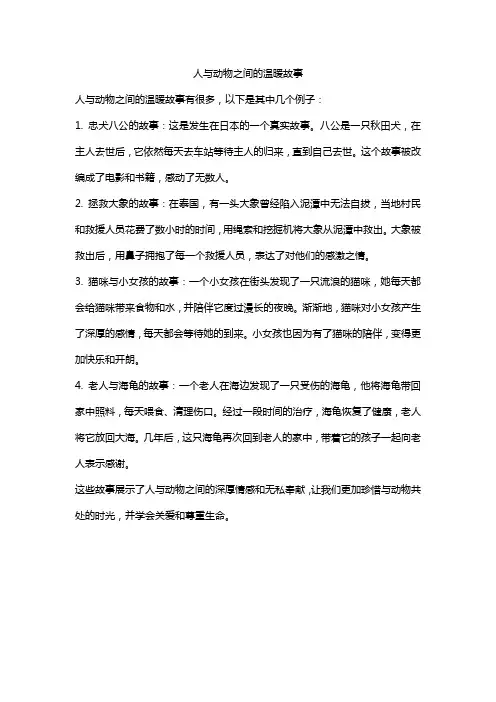 人与动物之间的温暖故事