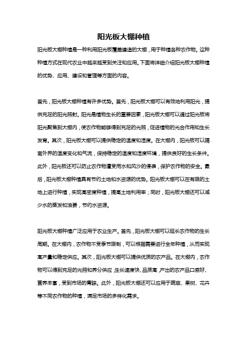 阳光板大棚种植