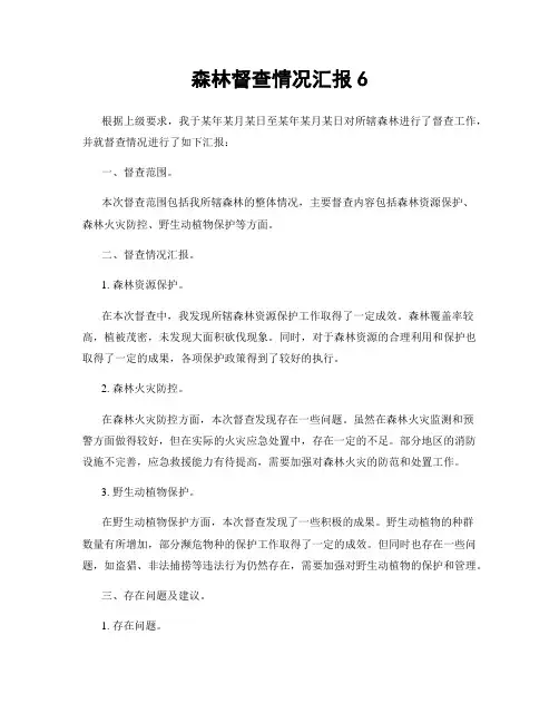 森林督查情况汇报6