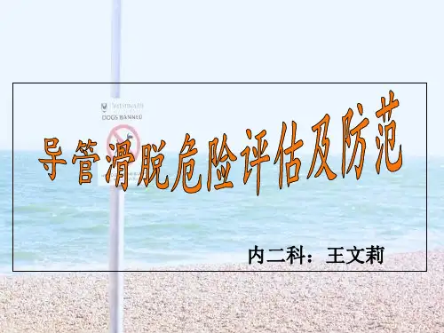 导管脱落危险及防范 ppt课件