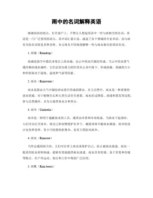 雨中的名词解释英语