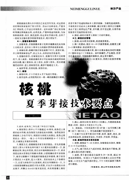 核桃夏季芽接技术要点
