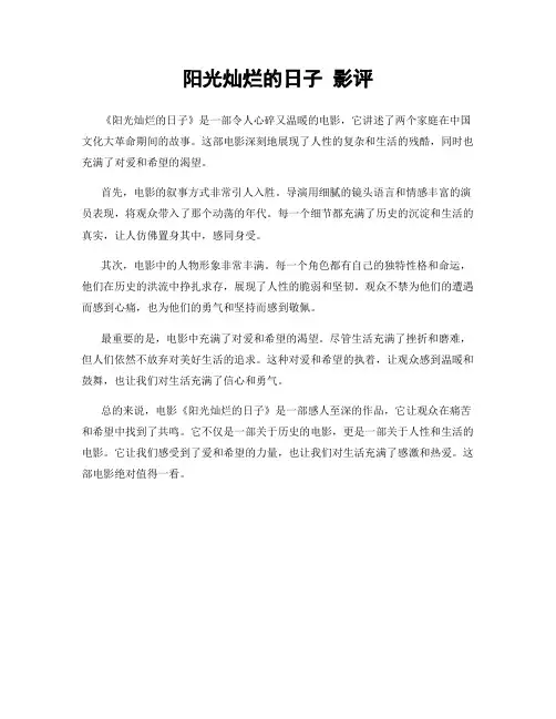 阳光灿烂的日子 影评