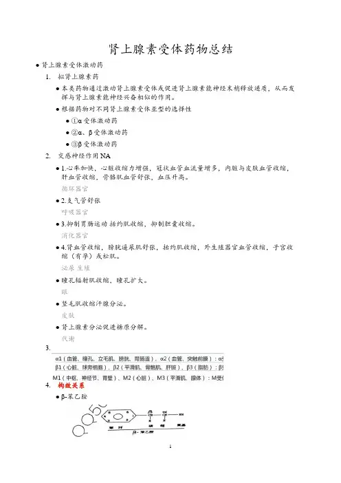 肾上腺素受体药物总结