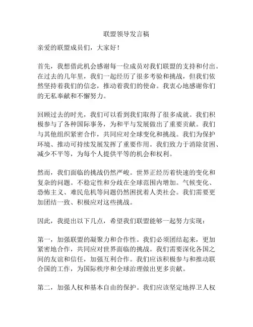 联盟领导发言稿