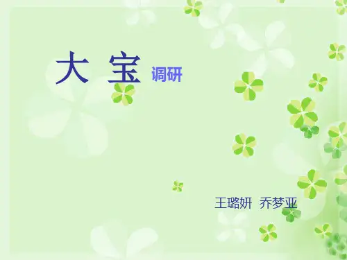 大宝广告 策划分析