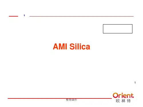 SWAN硅表AMISILICA