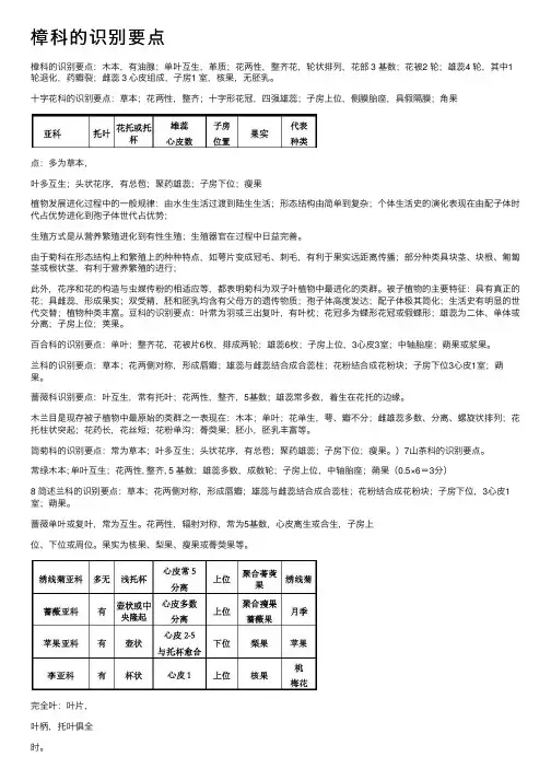 樟科的识别要点